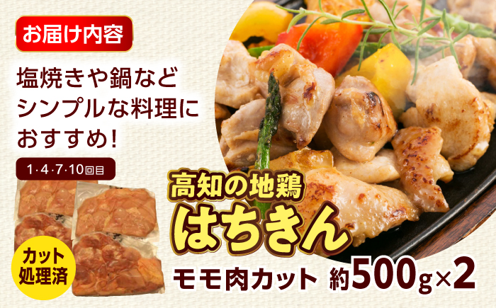 【12回定期便】高知の肉定期便〈はちきん地鶏・土佐あかうし・ハンバーグ〉大容量セット【合同会社土佐あぐりーど】 [ATBO037]