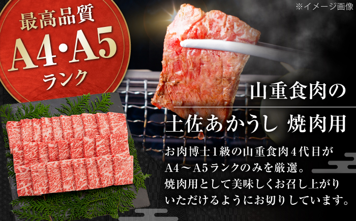 土佐あかうし　焼肉 約800g / やわらか ヘルシー うま味凝縮 【(有)山重食肉】 [ATAP182]