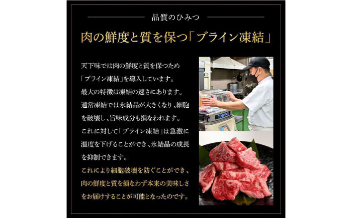 熟成肉 土佐和牛 詰め合わせ6種 【株式会社LATERAL】 [ATAY079]