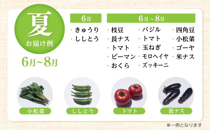 【3回定期便】 土佐の太陽をいっぱいに浴びた旬の野菜セット小 【土佐野菜】 [ATBA005]