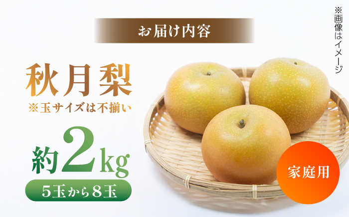 【先行予約】 川渕果樹園 秋月梨 約2kg 家庭用 〈2025年10月〜発送〉 / 梨 なし ナシ 果物 フルーツ デザート 秋 甘い ジューシー 【株式会社Dorago】 [ATAM058]