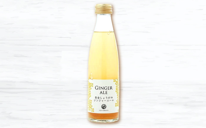 黄金しょうがのジンジャーエール12本/ 土佐生姜 スパークリング ジンジャーエール 爽やか【はるのTERRACE】 [ATAV002]