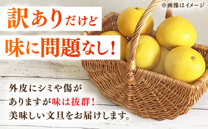 【先行予約】高知県産 訳あり 土佐文旦 約10kg 〈2025年2月〜発送〉 / 傷 シミの訳アリ 大容量 ぶんたん 文旦 訳あり わけあり 果物 【株式会社　四国健商】 [ATAF038]