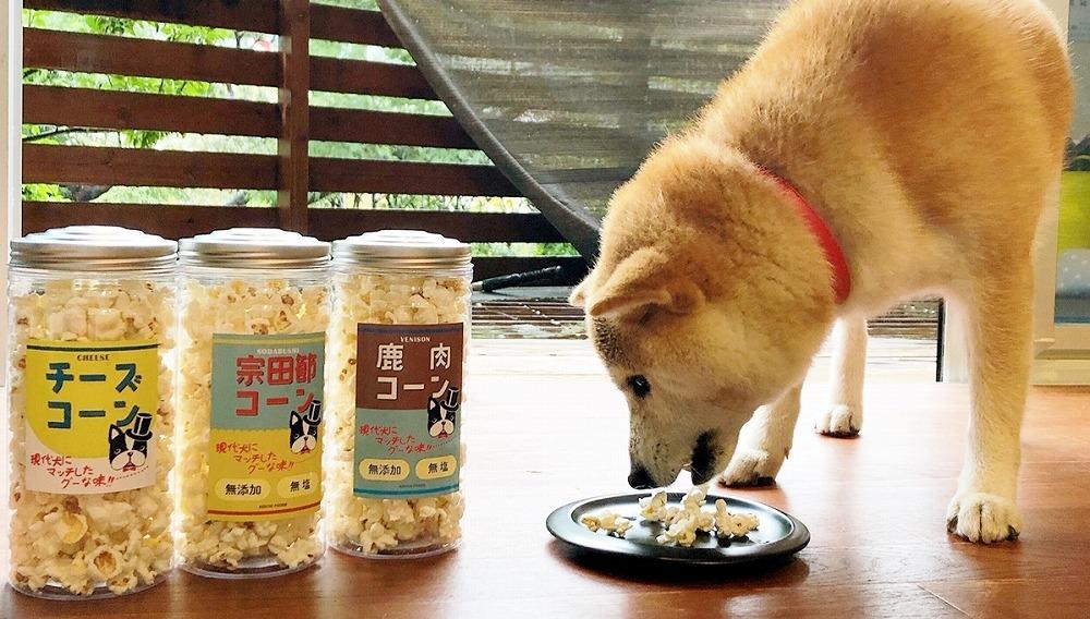 愛犬家のご自宅用にも・プレゼント用にもぴったり！「犬用おやつポップコーン」3種セット