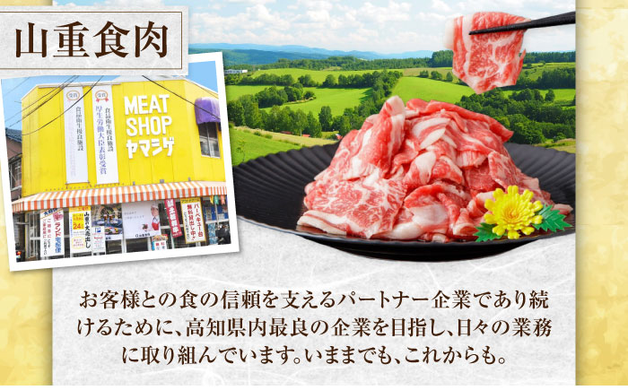 国産 豚肉 3種 詰め合わせ 総計約11kg 豚 切り落とし スライス しゃぶしゃぶ 【(有)山重食肉】 [ATAP042]