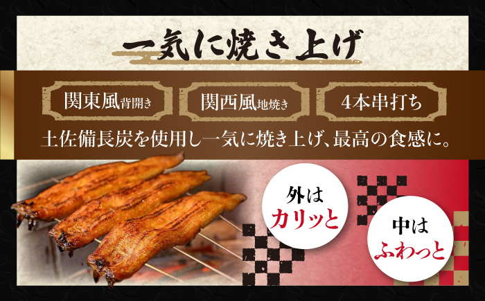 高知焼き鰻蒲焼2尾 / 蒲焼き かば焼き たれ タレ うなぎ ウナギ 鰻 小分け 個包装 パック 冷凍 冷凍食品 国産 おかず 簡単調理 調理済 時短 オーブントースター 魚焼きグリル 【鰻HASHIMOTO】 [ATDX005] 