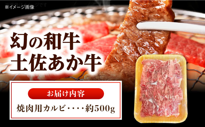 土佐あかうし 焼き肉用カルビ 約500g /和牛 国産和牛 高知県産 高知市 焼肉【株式会社Dorago】 [ATAM041]