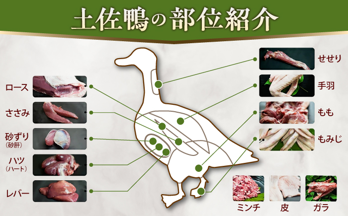 土佐鴨 セセリ (フレッシュ冷蔵) 約1kg 土佐鴨 土佐ジロー飼育研究会 【グレイジア株式会社】 [ATAC588]