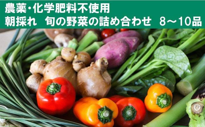 【栽培期間中農薬・化学肥料不使用】土佐の太陽をいっぱいに浴びた旬の野菜セット「小」【土佐野菜】 [ATBA001]