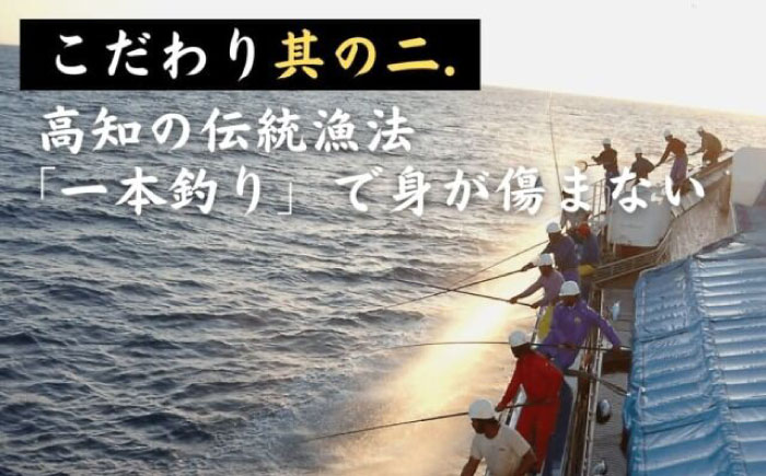 一本釣り龍馬鰹たたき　約2.3kg ポン酢付き /高知 本格 藁焼き カツオ 鰹 かつおたたき 瞬間冷凍 厳選【株式会社　七和】 [ATAX017]