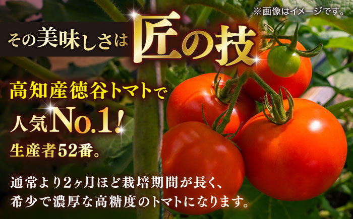 【先行予約】特選 徳谷トマト 約2kg 生産者52番 / トマト フルーツトマト 【フルーツショップオザキ】 [ATAH014]