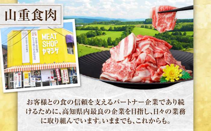 【6回定期便】高知県産 よさこい和牛 上赤身 しゃぶしゃぶ用 約500g 総計約3kg 牛肉 すきやき 国産 肉 A4 A5 薄切り スライス 【(有)山重食肉】 [ATAP120]