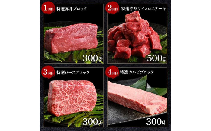 熟成肉 土佐あかうし詰め合わせ8種 8カ月 【株式会社LATERAL】 [ATAY102]