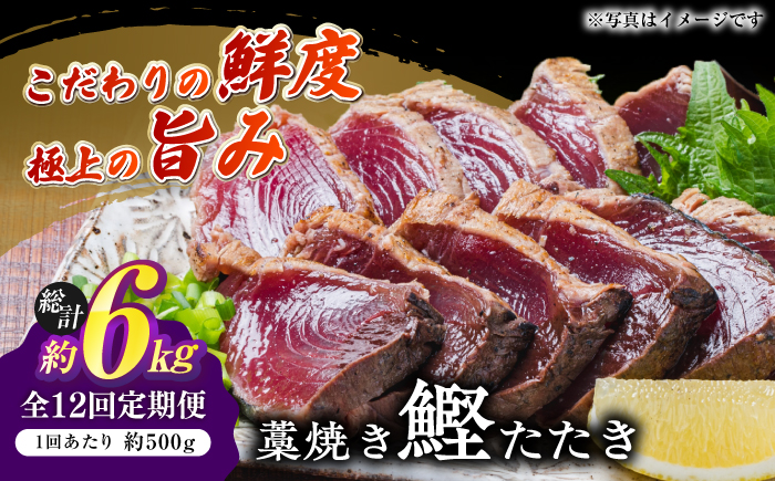 【12回定期便】明神水産 藁焼き鰹 (カツオ) たたき 中2節 (約500g) セット 総計約6kg 【株式会社 四国健商】 [ATAF136]