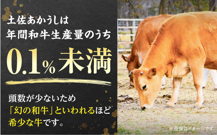 土佐あかうし 焼き肉用カルビ 約500g /和牛 国産和牛 高知県産 高知市 焼肉【株式会社Dorago】 [ATAM041]