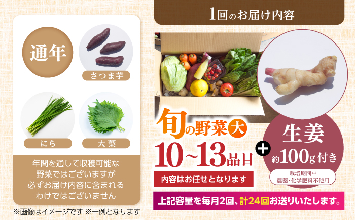 【24回定期便・月2回配送】 土佐の太陽をいっぱいに浴びた旬の野菜10〜13品目と生姜約100gのセット / 高知 土佐 旬 野菜 生姜 詰め合わせ セット 仕送り 【土佐野菜】 [ATBA017]