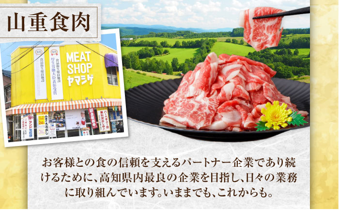 牛肉 いろどりセット 総計2.5kg 切り落とし すき焼き 焼肉 ハンバーグ 【(有)山重食肉】 [ATAP059]