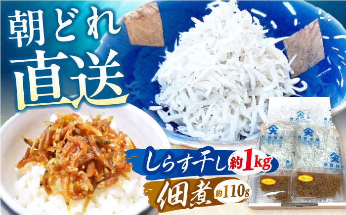 しらす干し（約1kg）と佃煮（約110g）セット/森国商店 浜で瞬時に釜出し 高知のしらす【グレイジア株式会社】 [ATAC486]