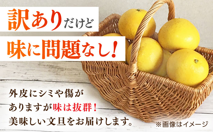 【先行予約】高知県産 訳あり 土佐文旦 約3kg 〈2025年2月〜発送〉 / 傷 シミの訳アリ  大容量 ぶんたん 文旦 訳あり わけあり 果物 【株式会社　四国健商】 [ATAF151]