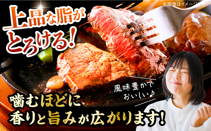 土佐あかうし 塊肉ステーキ 約500g（もも）【株式会社Dorago】 [ATAM046]