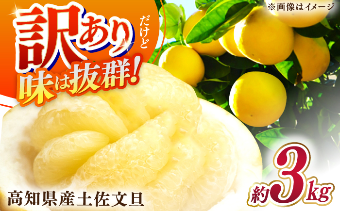 【先行予約】高知県産 訳あり 土佐文旦 約3kg 〈2026年2月〜発送〉 / 傷 シミの訳アリ  大容量 ぶんたん 文旦 訳あり わけあり 果物 【株式会社　四国健商】 [ATAF151]