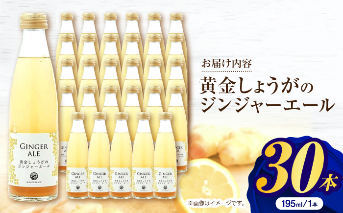 黄金しょうがのジンジャーエール30本 / 土佐生姜 スパークリング ジンジャーエール 爽やか【はるのTERRACE】 [ATAV003]