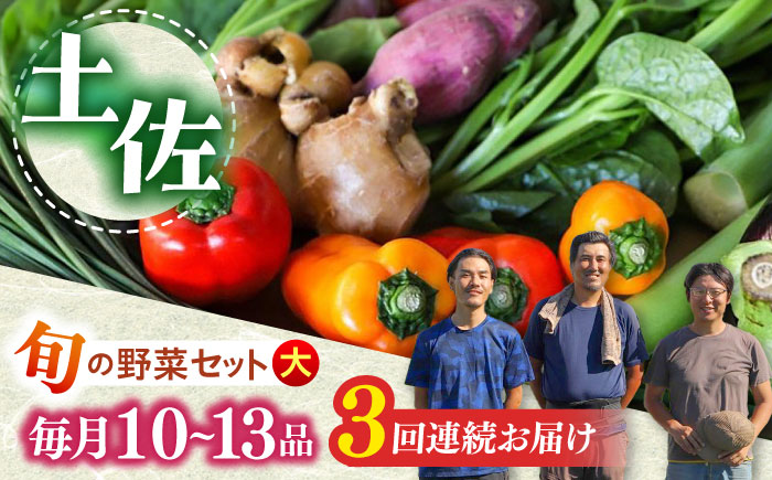 【3回定期便】 土佐の太陽をいっぱいに浴びた旬の野菜セット「大」 (3回配送)【土佐野菜】[ATBA008]