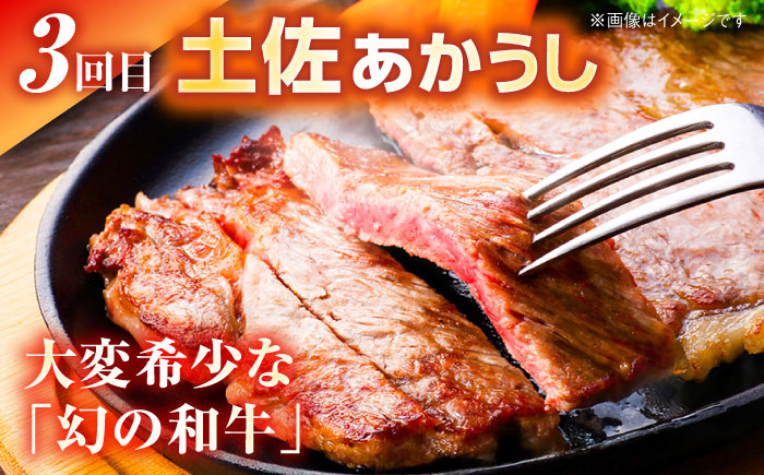 【3回定期便】高知をまるごと定期便〈鰹タタキ2節・うなぎ蒲焼き２尾・土佐あかうし300g〉 【株式会社Dorago】 [ATAM038]