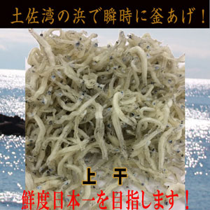 ちりめんじゃこ (上干) 約900g (約300g×3袋) 鮮度日本一を目指します!浜で瞬時に釜揚げ 【グレイジア株式会社】 [ATAC426]