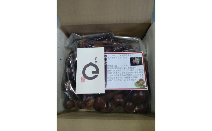 【先行予約】高級生栗 まるっこ栗  約1kg ＜2026年10月中旬〜発送＞  夢甘栗 秀品 生栗 生 くり 栗 果物 クリ 秋 和栗 栗ご飯 季節限定 【仁淀川流域夢甘栗生産者組合 くり蔵】 [ATDR003]