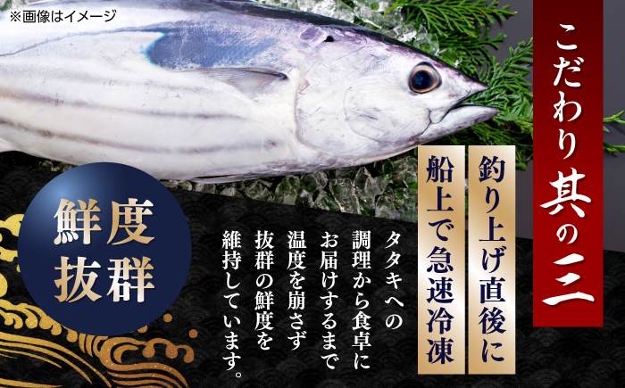一本釣り龍馬鰹たたき 約600g かつお カツオ わらやき 高知 【株式会社 七和】 [ATAX001]
