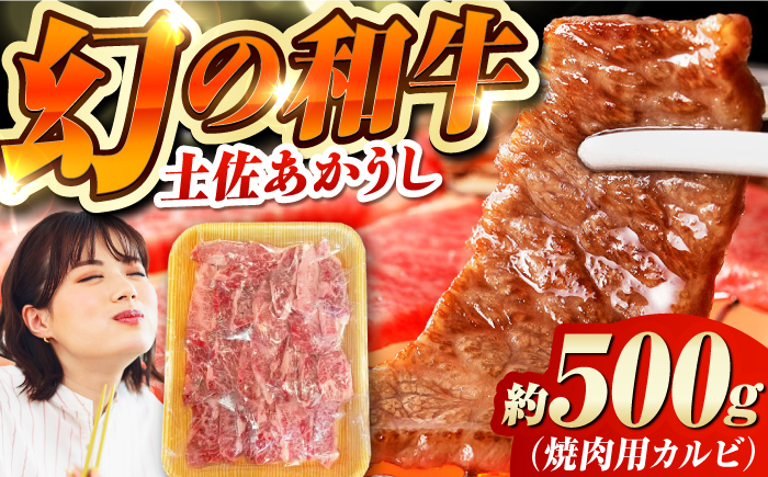 土佐あかうし 焼き肉用カルビ 約500g /和牛 国産和牛 高知県産 高知市 焼肉【株式会社Dorago】 [ATAM041]