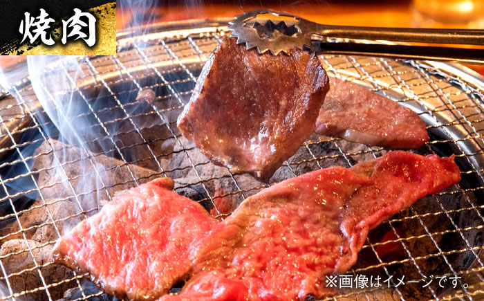 エイジング工法 熟成肉 土佐あかうし 特選赤身 ブロック 約300g 冷凍 【株式会社LATERAL】 [ATAY010]