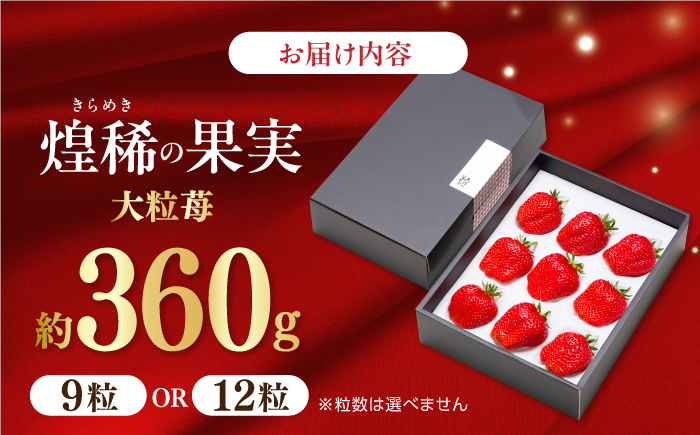 【先行予約】煌稀の果実 高知市春野町産 苺 大粒 約360g (9または12粒)＜2025年1月 から発送開始＞ 【森強のいちご農園】 [ATAS001]