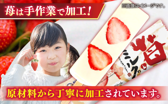 苺とミルクのアイスキャンデー 20本入 / 久保田食品 アイス  アイスクリーム  菓子 【グレイジア株式会社】 [ATAC213]