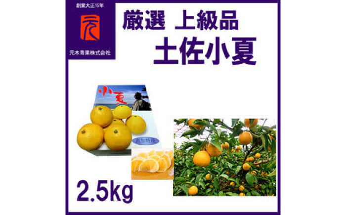 厳選上級品土佐小夏約2.5kg/化粧箱詰/【グレイジア株式会社】 [ATAC341]