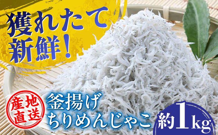 【産地直送】新鮮釜揚げちりめんじゃこ 約1kg 【土居海産】 [ATBT001]