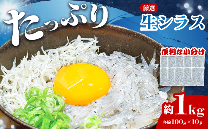 大容量 厳選 高知県産生シラス （約1kg） / しらす シラス 高知 魚 小魚 魚介類 海鮮 冷凍 真空 個包装 【アジアマリン有限会社】 [ATCM002]