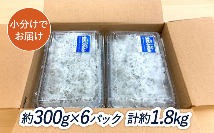 釜揚げしらす 約1.8kg (約300g×6袋) 浜で瞬時に釜出し 高知のしらす 【グレイジア株式会社】 [ATAC081]