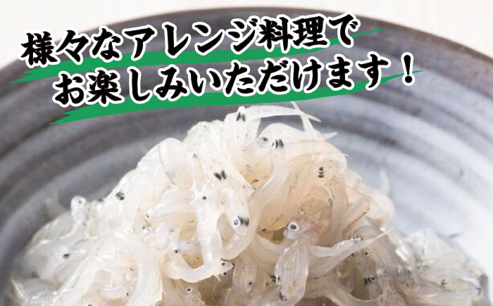 高知産「生シラス」イワシ稚魚100g×5パック入り (タレ付)【興洋フリーズ株式会社】 [ATBX003]