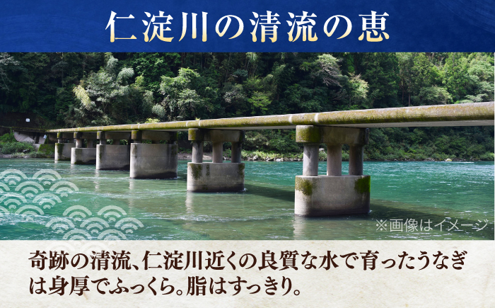 高知産 うなぎ 蒲焼き 3尾入（約250g×3尾） / 国産 うなぎ 鰻 ウナギ 蒲焼 味付き 【池澤本店】 [ATAU007]