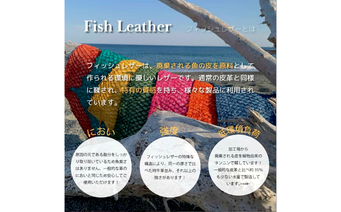 【Ocean Blue】Ocean Leather 二つ折り財布【ブリ】【興洋フリーズ株式会社】 [ATBX071-01]