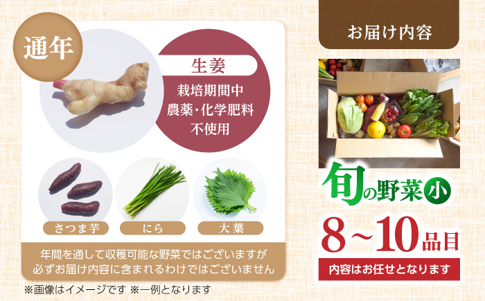 【栽培期間中農薬・化学肥料不使用】土佐の太陽をいっぱいに浴びた旬の野菜セット「小」【土佐野菜】 [ATBA001]