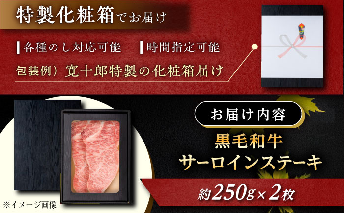 高知 黒毛和牛 ステーキ 約250g×2枚 / 高知 お肉 牛肉 牛 サーロイン 贈答 ギフト 贅沢 【焼肉寛十郎】 [ATDO011]