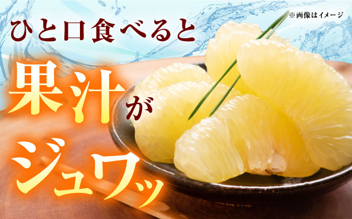 【9月下旬頃より発送】高知県産 水晶文旦 約3kg 6玉入 【株式会社　四国健商】 [ATAF032]