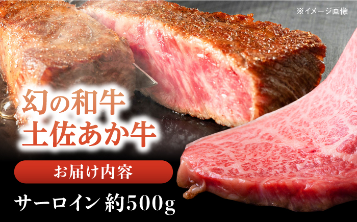 土佐あかうし 塊肉ステーキ 約500g（サーロイン）【株式会社Dorago】 [ATAM045]