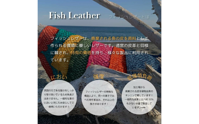 【Ivory Black】Ocean Leather 名刺入れ〈マダイ〉Lサイズ【興洋フリーズ株式会社】 [ATBX066-01]