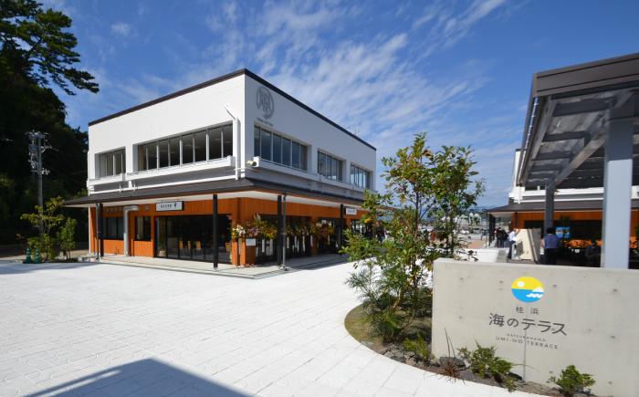 【土佐久礼かつお】 旬凍藁焼きタタキ 3〜4人前（約400g） / 高知 土佐 久礼 かつお カツオ 鰹 たたき タタキ 海鮮 魚 刺身 【株式会社ジャパンダイニング】 [ATHR001]