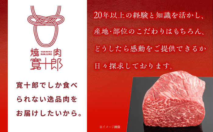 高知 黒毛和牛 ステーキ 約250g×2枚 / 高知 お肉 牛肉 牛 サーロイン 贈答 ギフト 贅沢 【焼肉寛十郎】 [ATDO011]