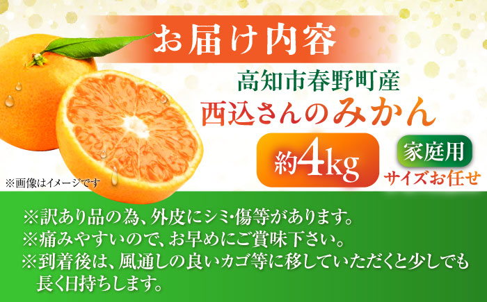 高知市春野町 西込さんの美味しいみかん 約4kg ご家庭用 ワケあり 【株式会社 四国健商】 [ATAF011]